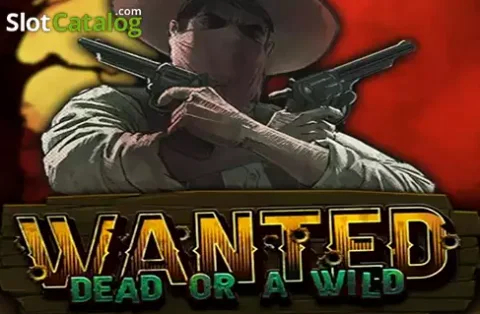 Customer support team at Kv8 Casino